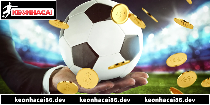 Bí quyết soi kèo nhà cái trực tuyến chuẩn xác và hiệu quả nhất