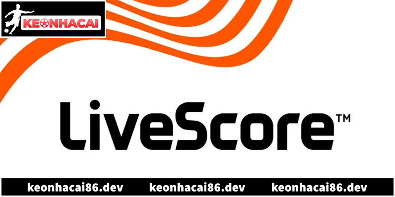 Công cụ cập nhật dữ liệu bóng đá trực tuyến chính xác nhất