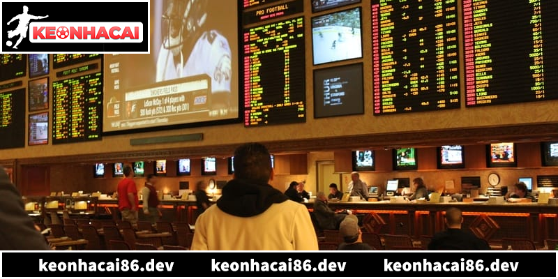 Công cụ hỗ trợ soi kèo hiệu quả cho người chơi