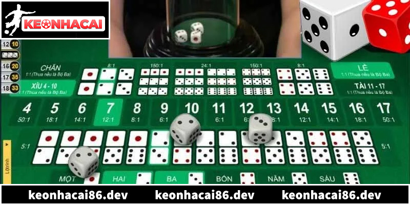 Làm chủ soi cầu Manclub, thắng lớn cùng kèo nhà cái